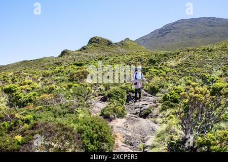 Morphologische Charakteristika des unregelmäßigen Geländes des Pico im Azoren-Archipel. Stockfoto