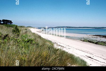 COAST TO COAST TRAVEL LIBRARY - VERWALTET VON PPL PHOTO AGENCY - COPYRIGHT RESERVIERT *** Lokale Bildunterschrift *** Pentle Bay, Tresco, Scilly Isles. Stockfoto