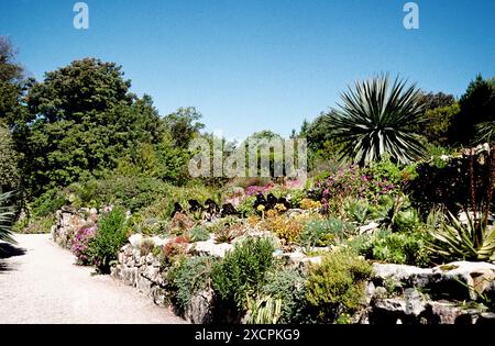 REISEBIBLIOTHEK VON KÜSTE ZU KÜSTE - VERWALTET VON PPL PHOTO AGENCY - COPYRIGHT VORBEHALTEN Top Terrace, Abbey Garden, Tresco, Scilly Isles of Scilly. FOTO: DAV Stockfoto