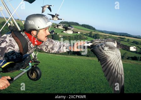 VON KÜSTE ZU KÜSTE REISEBIBLIOTHEK - COPYRIGHT VORBEHALTEN - VERWALTET VON PPL FOTOAGENTUR *** örtlicher Titel *** Christian Moullec fliegt mit Nonnengänsen in Stockfoto