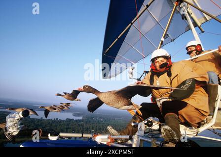 VON KÜSTE ZU KÜSTE REISEBIBLIOTHEK - COPYRIGHT VORBEHALTEN - VERWALTET VON PPL FOTOAGENTUR *** örtlicher Bildunterschrift *** Christian Moullec mit schwedischen Wissenschaftlern Flyin Stockfoto