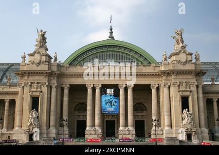 VON KÜSTE ZU KÜSTE REISEBIBLIOTHEK - VERWALTET VON PPL PHOTO AGENCY - COPYRIGHT RESERVIERT der Eintritt zum Grand Palais, Paris FOTO: Richard Bennett Stockfoto