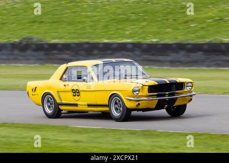 Andy Priaulx / Alex Taylor, 1965 Ford Mustang während des Ken Miles Cup Rennens beim Goodwood 81st Members Meeting 2024 in Sussex, Großbritannien Stockfoto