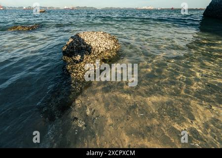 Schäumende Wellen, die auf einem sandigen shore.selective-Fokus auftauchen Stockfoto