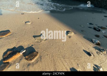Schäumende Wellen, die auf einem sandigen shore.selective-Fokus auftauchen Stockfoto