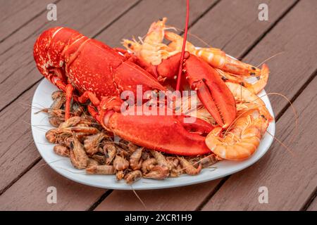 Nahaufnahme eines gekochten Hummer und anderer Krebse auf einem Teller auf Holzplanken Stockfoto