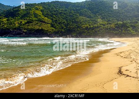 Hügel und Wald am Strand von Bonete auf der Insel Ilhabela in Sao Paulo Stockfoto