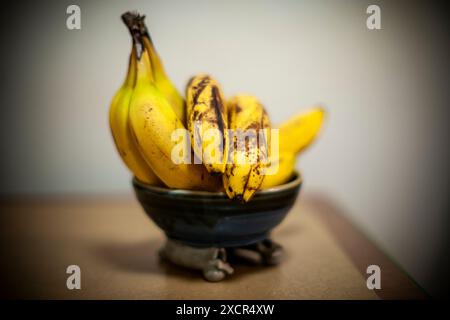 Reife Bananen in New York am Dienstag, 4. Juni 2024. (© Richard B. Levine) Stockfoto