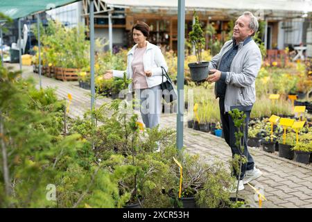 Positives reifes Paar in lässiger Kleidung, das Pflanzen und Sträucher in Töpfen auswählt, während es im Gartencenter einkauft Stockfoto