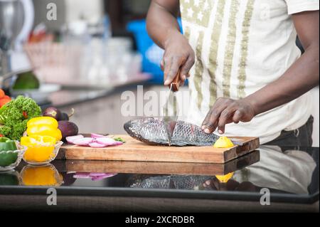 Bereiten Sie einen Nil Tilapia Fisch zum Kochen vor Stockfoto