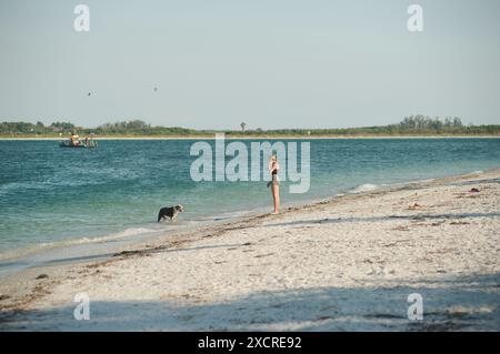 Weite Sicht auf eine junge Frau, die am Strand läuft, mit Hund rechts in schwarzem Oberteil und Shorts. Blick auf den Pass-A-Grill-Kanal. Nahe Sonnenuntergang Stockfoto