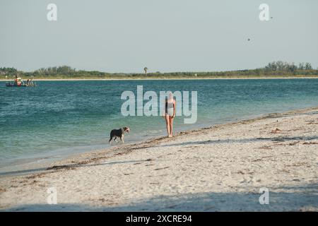 Weite Sicht auf eine junge Frau, die am Strand läuft, mit Hund rechts in schwarzem Oberteil und Shorts. Blick auf den Pass-A-Grill-Kanal. Nahe Sonnenuntergang Stockfoto