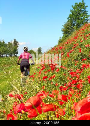 Nette Seniorin, die ein elektrisches Mountainbike zwischen blühenden roten Mohnfeldern fährt Stockfoto