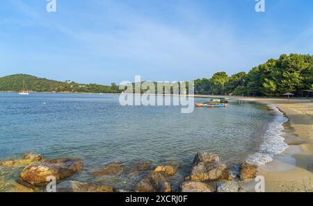 Koukounaries Strand auf der Insel Skiathos in Griechenland Stockfoto