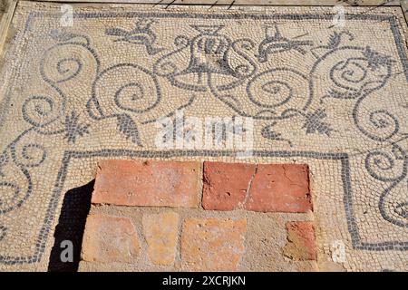 Colonia Clunia Sulpicia, eine antike römische Stadt. Mosaik. Alto de Castro zwischen Coruña del Conde und Peñalba de Castro, Provinz Burgos, Kastilien Stockfoto