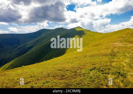 Malerische karpaten mit stoj-Gipfel in der Ferne. Landschaft mit grasbewachsenen Hängen des Borzhava-Berges an einem sonnigen Sommertag. Beliebtes Reiseziel Stockfoto