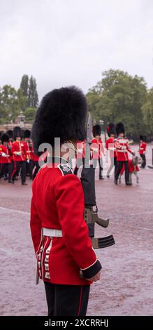 Grenadierwache, Die Die Route Säumt, Trooping The Colour Color The Mall London 2024 Stockfoto