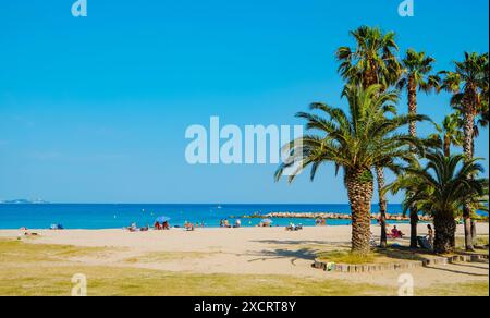 Cambrils, Spanien - 9. Juni 2024: Detail des Strandes Ardiaca in Cambrils, Spanien, an der Costa Dorada Küste, mit einigen Palmen vorne und einigen Spitzen Stockfoto