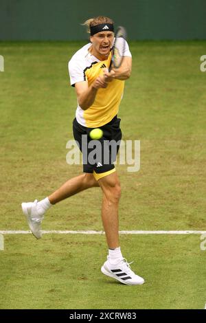 18. Juni 2024, Nordrhein-Westfalen, Halle/Westfalen: Tennis: ATP Tour Halle/Westfalen, Männer-Einzel, 1. Runde, Otte gegen Zverev (beide Deutschland), Alexander Zverev im Einsatz. Foto: Claus Bergmann/dpa Stockfoto