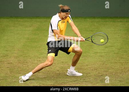 18. Juni 2024, Nordrhein-Westfalen, Halle/Westfalen: Tennis: ATP Tour Halle/Westfalen, Männer-Einzel, 1. Runde, Otte gegen Zverev (beide Deutschland), Alexander Zverev im Einsatz. Foto: Claus Bergmann/dpa Stockfoto