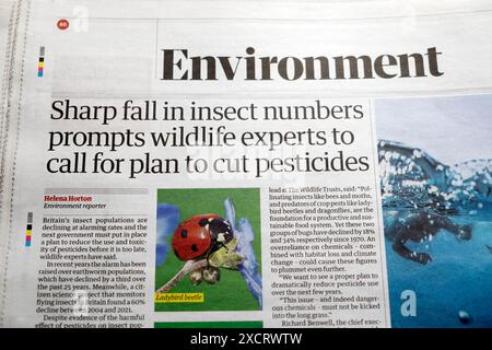„Der drastische Rückgang der Insektenzahlen veranlasst Wildtierexperten, einen Plan zur Reduzierung von Pestiziden zu fordern“, titelt die Zeitung Guardian im Juni 2024 Großbritannien Stockfoto
