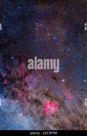 This is a portrait of most of the northern constellation of Cepheus the King, shot and processed to emphasize the rich collection of bright and dark n Stockfoto