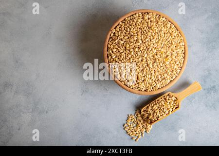 Holzschale in Weizenkörnern auf hellblauem Hintergrund Stockfoto