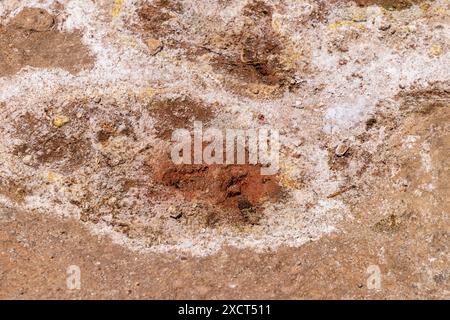 Hervideros de San Jacinto heiße Quellen. Vulkanische Quelle in der Nähe von Leon in San Jacinto in Nicaragua, Zentralamerika Stockfoto