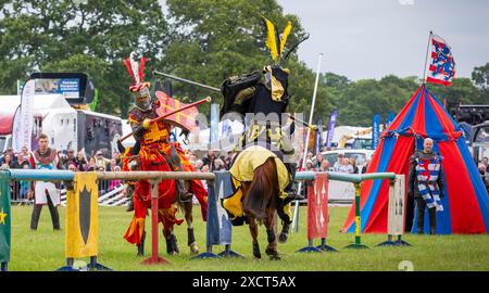 Cheshire Show, Clay House Farm, Flittogate Lane, Knutsford - 18. Juni 2024 - die Royal Cheshire County Show 2024 ist eine prächtige Hommage an die idyllische Landschaft von Cheshire, Landwirtschaft, köstliche Küche und gesunde Familienunterhaltung. Es bietet Viehwettbewerbe, Reitveranstaltungen, lokale Produkte, Kunsthandwerk und ein kulinarisches Dorf mit Live-Kochvorführungen von Spitzenköchen. Die Ritter von Nottingham unterhielten sich mit Ritterspielen und Kämpfen. Die Show feierte ihr 185-jähriges Bestehen im Jahr 2023. Quelle: John Hopkins/Alamy Live News Stockfoto