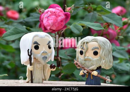 Funko Pop Actionfiguren der Zauberer Saruman der Weiße und Gandalf der Graue aus dem Fantasy-Film der Herr der Ringe. Moody Garden, rote Rosen. Stockfoto