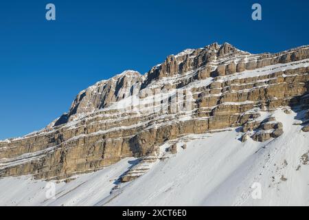 Felsen in den Brenta-Dolomiten bei Madonna di Campiglio. Stockfoto