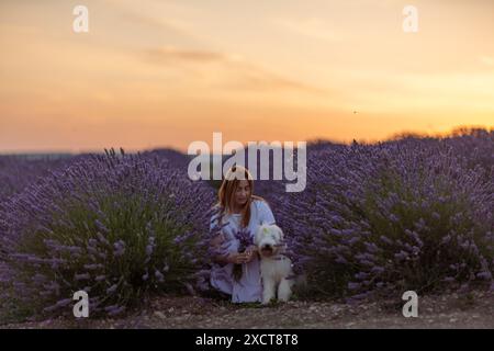Eine Frau sitzt mit ihrem Hund auf einem Feld aus Lavendelblumen Stockfoto