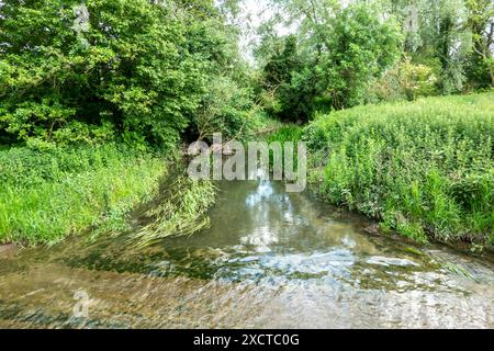 Der Fluss Cam auf der Straße zwischen Hinxton und Duxford von der Brücke über die Ford Stockfoto