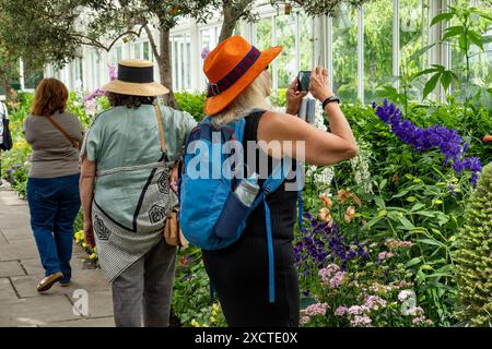 Der New York Botanical Garden in der Bronx ist ein berühmtes lebendiges Museum, Bildungseinrichtung und kulturelle Attraktion, USA 2024 Stockfoto