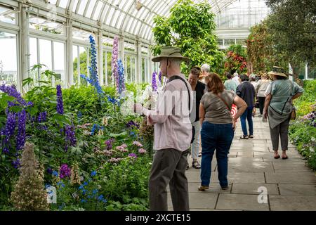 Der New York Botanical Garden in der Bronx ist ein berühmtes lebendiges Museum, Bildungseinrichtung und kulturelle Attraktion, USA 2024 Stockfoto