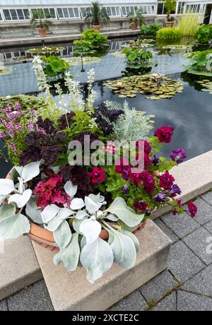 Der New York Botanical Garden in der Bronx ist ein berühmtes lebendiges Museum, Bildungseinrichtung und kulturelle Attraktion, USA 2024 Stockfoto