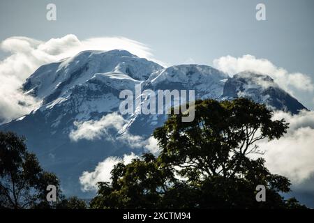 Majestätischer Blick auf den Chimborazo-Gipfel, der sich in 6.263 Metern Höhe in den Anden in Ecuador erhebt. Dieses atemberaubende Bild fängt die Schneekappe ein Stockfoto