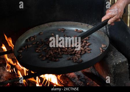 Nahaufnahme in einer traditionellen Umgebung rührt die Hand eines ecuadorianischen Mannes die Kakaobohnen geschickt in einer Pfanne über dem offenen Feuer und verwendet eine Machete, um sie zu rösten Stockfoto