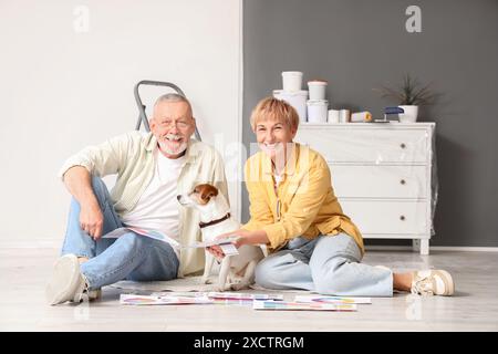 Reifes Paar mit Farbpaletten und Hund während der Reparatur in ihrem neuen Haus Stockfoto