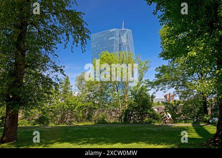 Sitz der Europäischen Zentralbank, EZB-Hauptsitz ragt hinter dem grünen Park am Deutschherrnufer, Hessen, Frankfurt am Main Stockfoto