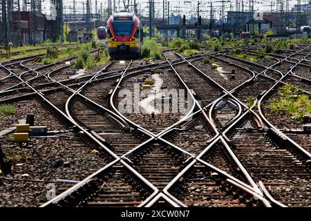 Bahngleise und ein Nahverkehrszug am Hauptbahnhof, Deutschland, Hessen, Frankfurt am Main Stockfoto