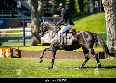 Spitzenreitersport bei Spruce Meadows in Calgary Stockfoto