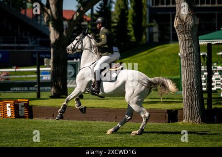 Spitzenreitersport bei Spruce Meadows in Calgary Stockfoto