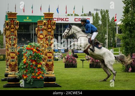 Spitzenreitersport bei Spruce Meadows in Calgary Stockfoto