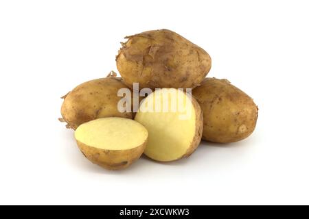 Gruppe frischer Frühkartoffeln mit hellbrauner Haut und dunkelbraunen Flecken auf weißem Hintergrund, eine Kartoffel in Teilung zeigt ihr Gelb Stockfoto