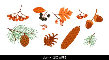 Eine Sammlung von Herbstblättern und -Kegeln. Das Bild hat ein warmes und gemütliches Gefühl und erinnert an die Farben und Texturen des Herbstes Stock Vektor