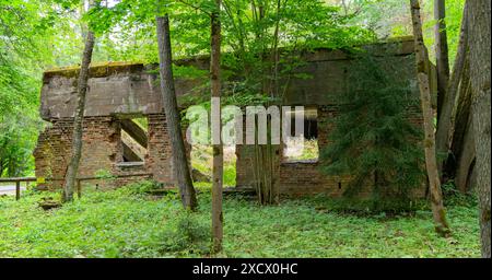 Wolf Lair in Gierloz, Polen Stockfoto