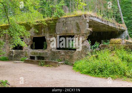 Wolf Lair in Gierloz, Polen Stockfoto