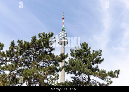 Wien, Österreich - 11. Mai 2024: TV-Antennenturm im öffentlichen Park mit Kiefernvordergrund. Keine sichtbaren Personen Stockfoto