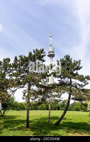 Wien, Österreich - 11. Mai 2024: TV-Antennenturm im öffentlichen Park mit Kiefernvordergrund. Keine sichtbaren Personen Stockfoto